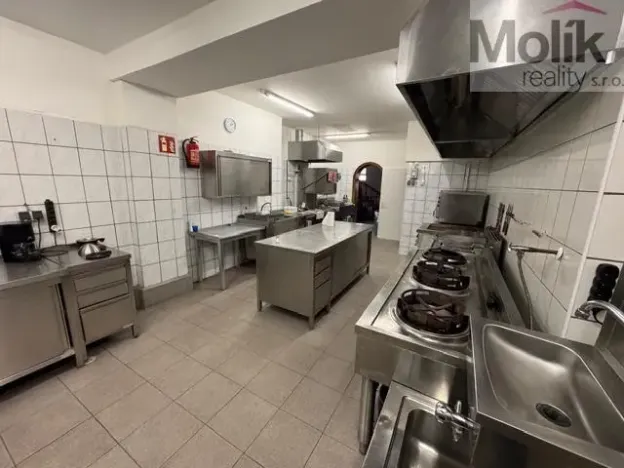 Prodej ubytování, Český Jiřetín, 1753 m2