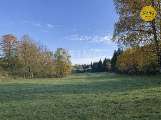 Prodej pozemku pro bydlení, Horní Planá, 5895 m2