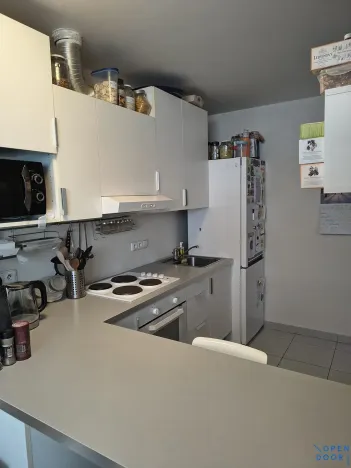 Pronájem bytu 1+kk, Brno, U Leskavy, 47 m2