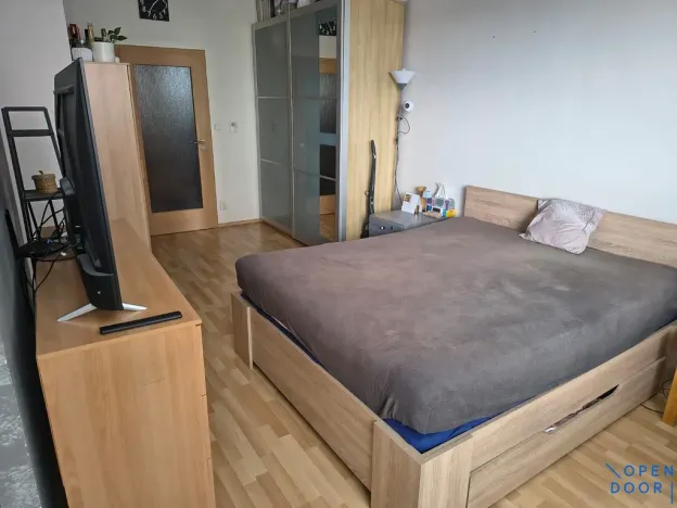 Pronájem bytu 1+kk, Brno, U Leskavy, 47 m2