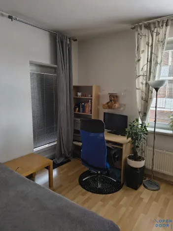 Pronájem bytu 1+kk, Brno, U Leskavy, 47 m2