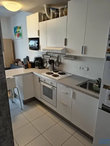 Pronájem bytu 1+kk, Brno, U Leskavy, 47 m2