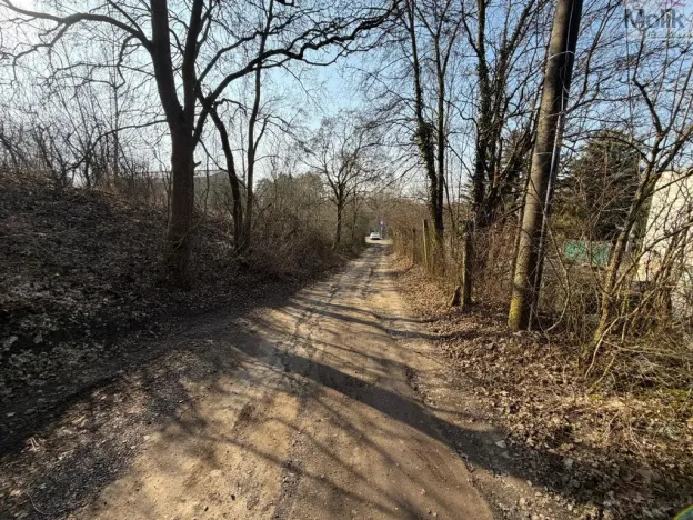 Prodej zahrady, Litoměřice - Pokratice, 442 m2