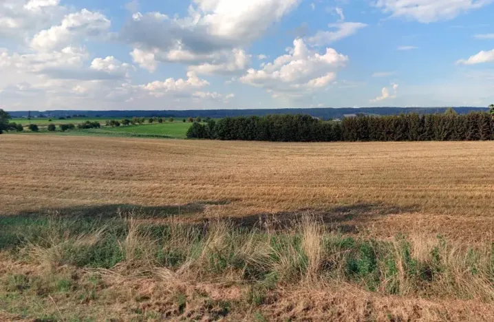 Prodej pole, Bílá Třemešná, 18276 m2