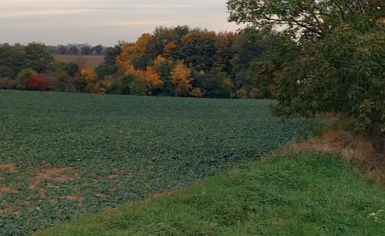 Prodej zahrady, Červené Pečky, 4357 m2