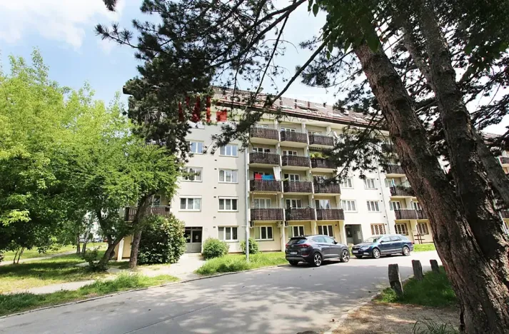 Prodej bytu 3+1, Brno, Krásného, 57 m2