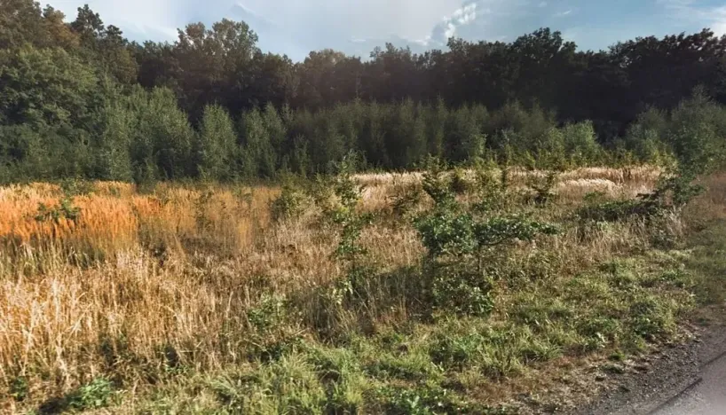 Prodej louky, Úlibice, 5992 m2