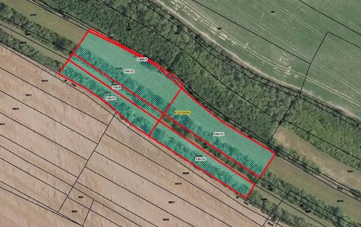 Prodej pole, Kochánky, 10351 m2