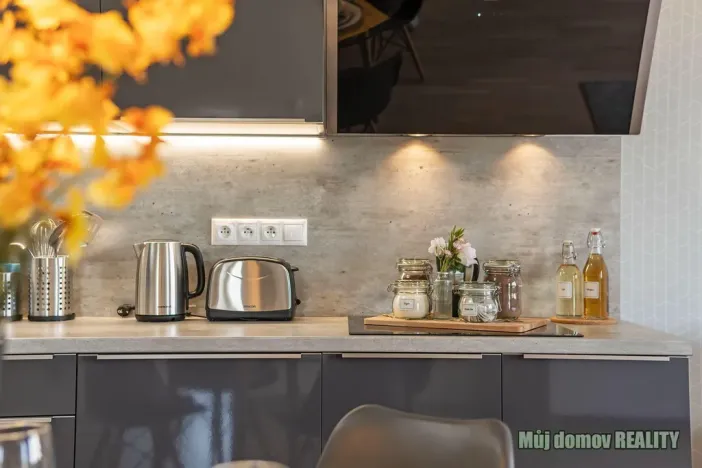 Pronájem bytu 2+kk, Praha - Hloubětín, Laponská, 49 m2