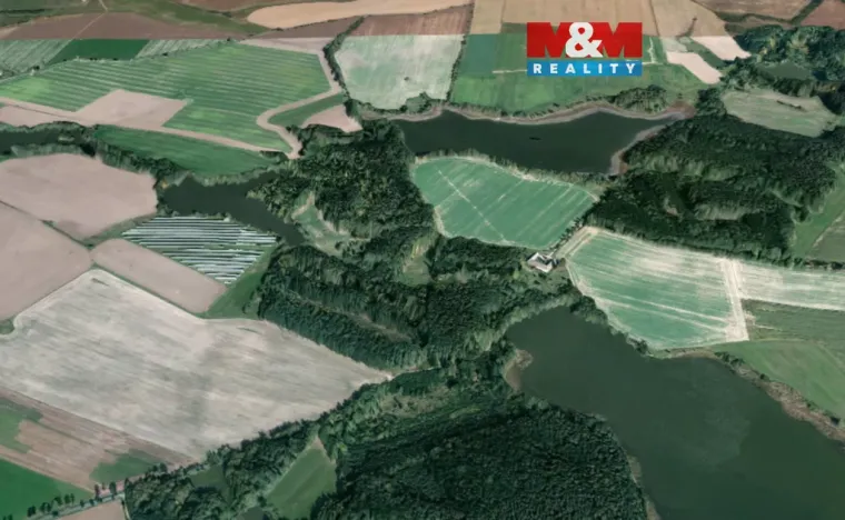 Prodej lesa, Dírná, 6834 m2