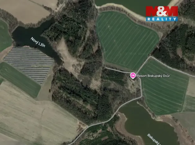 Prodej lesa, Dírná, 6834 m2