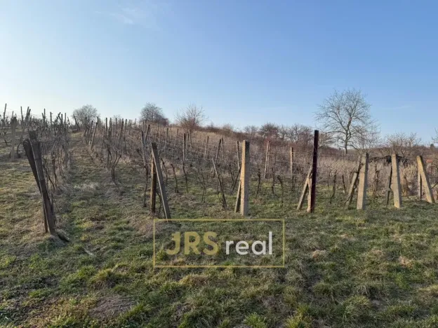 Prodej pozemku, Mutěnice, 2669 m2