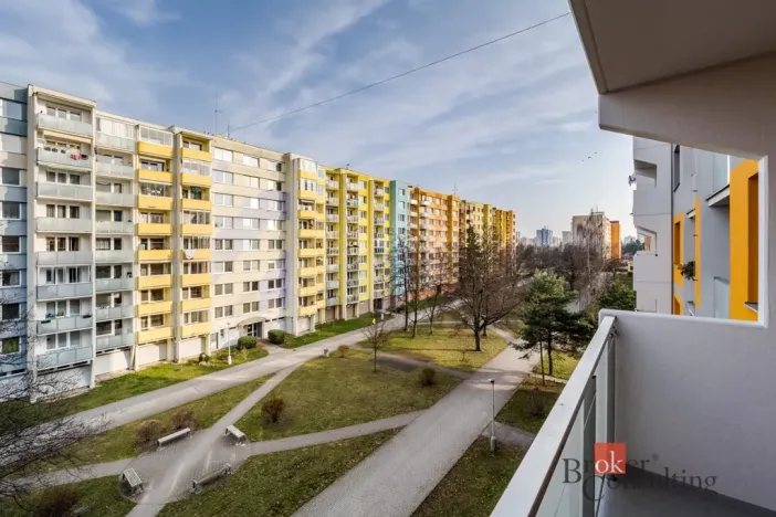 Prodej bytu 1+1, České Budějovice - České Budějovice 2, Vodňanská, 43 m2