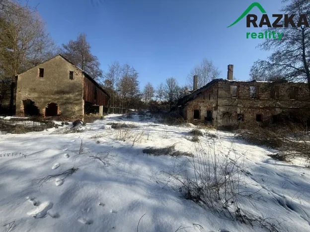 Prodej pozemku, Planá, 2371 m2