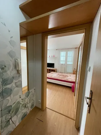 Prodej bytu 1+1, Praha - Michle, U plynárny, 37 m2