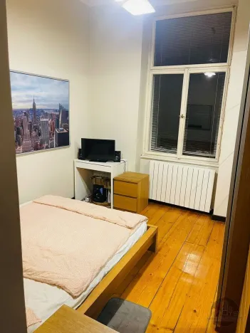 Pronájem pokoje, Praha - Vinohrady, Slavíkova, 13 m2