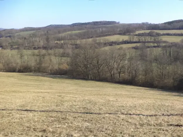 Dražba louky, Úštěk, 21164 m2