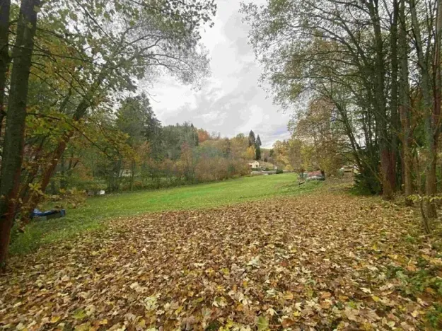 Dražba louky, Hartmanice, 1679 m2