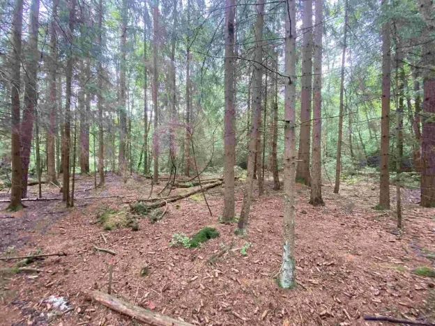 Prodej pole, Krásná, 10460 m2