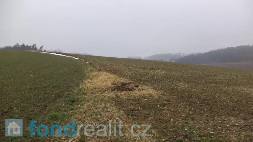 Prodej pole, Zvěstov, 51947 m2