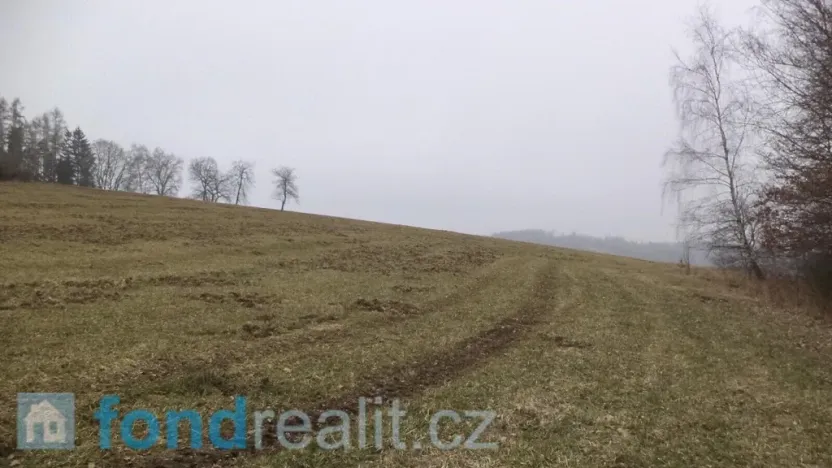 Prodej pole, Zvěstov, 51947 m2