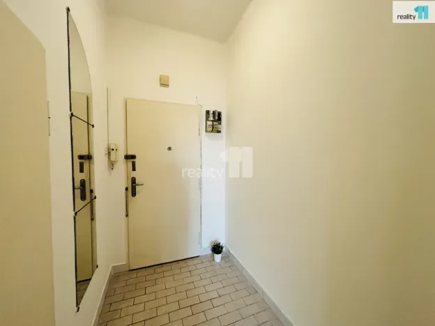 Pronájem bytu 1+kk, Praha - Žižkov, Biskupcova, 24 m2