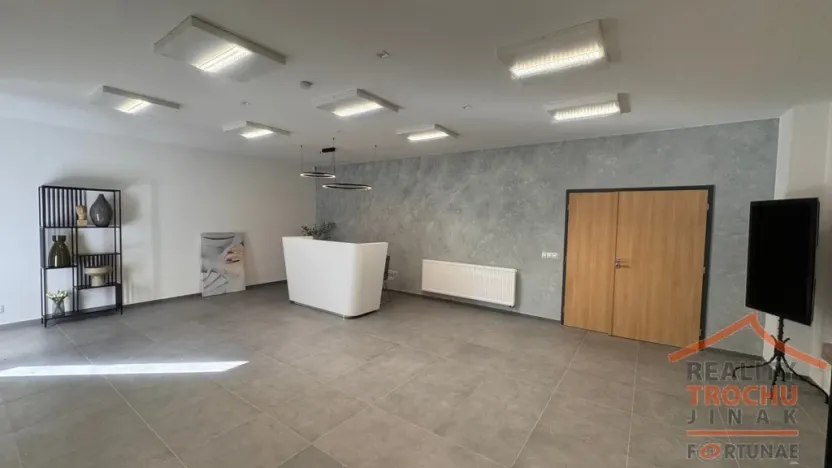 Pronájem výrobních prostor, Hradec Králové, U Fotochemy, 220 m2