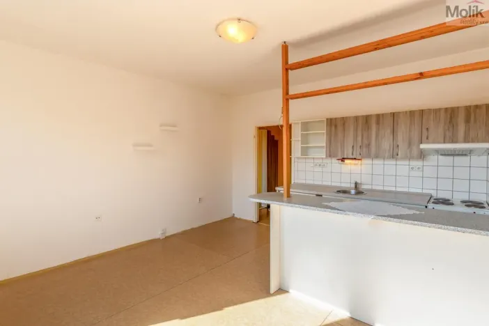 Prodej bytu 2+kk, Teplice - Trnovany, 43 m2