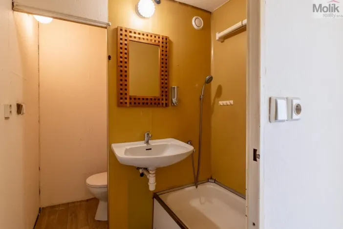 Prodej bytu 2+kk, Teplice - Trnovany, 43 m2