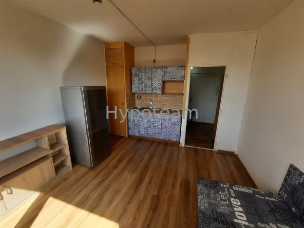 Pronájem bytu 1+kk, Ústí nad Labem - Ústí nad Labem-centrum, SNP, 20 m2