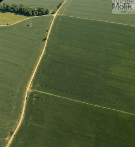 Prodej pole, Barchovice, 3780 m2