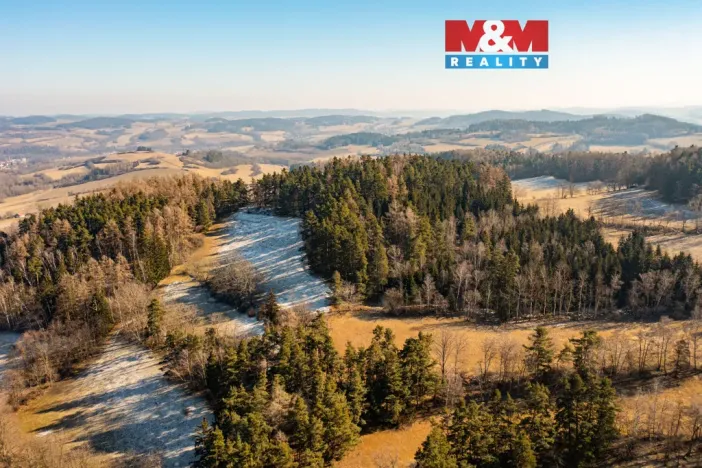 Prodej lesa, Nišovice, 12140 m2