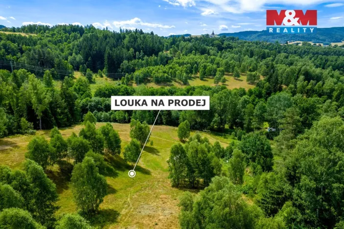 Prodej pozemku, Dlouhý Most, 8531 m2