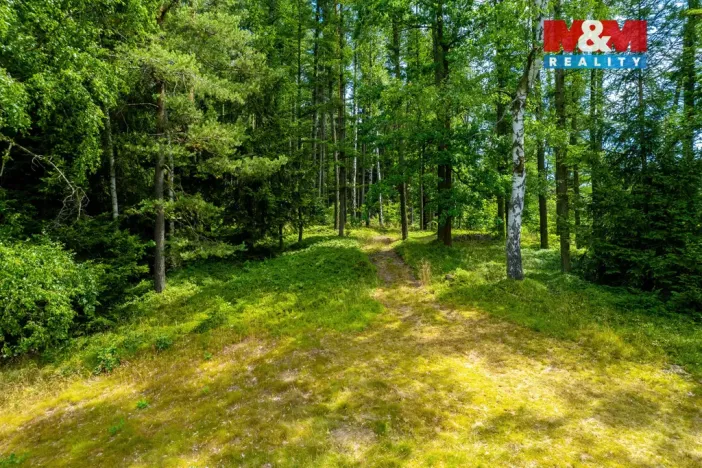 Prodej pozemku, Dlouhý Most, 8531 m2