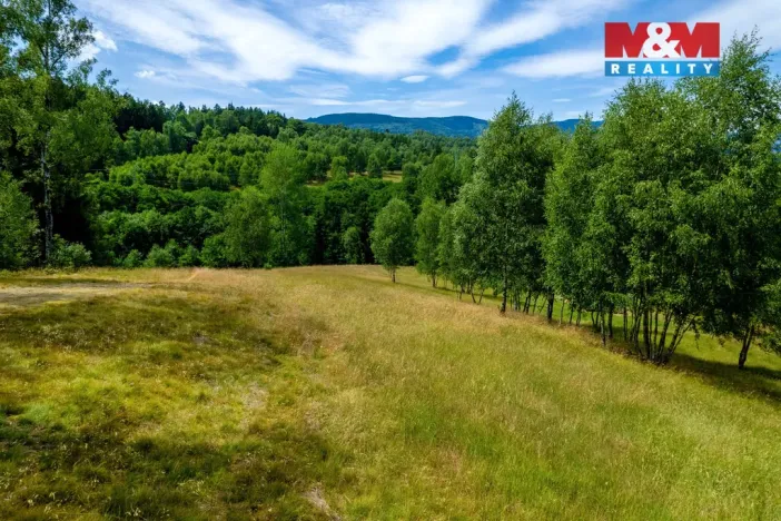 Prodej pozemku, Dlouhý Most, 8531 m2