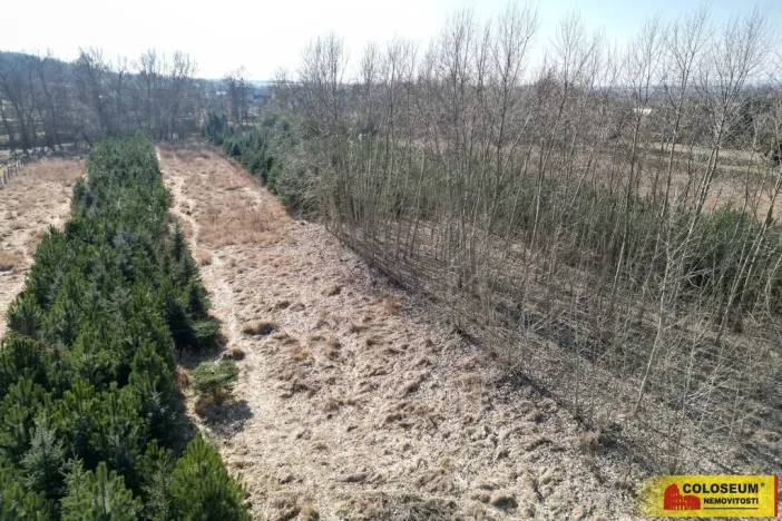 Prodej pole, Znojmo, 2970 m2