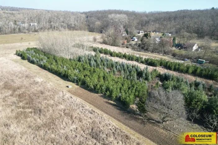 Prodej pole, Znojmo, 2970 m2