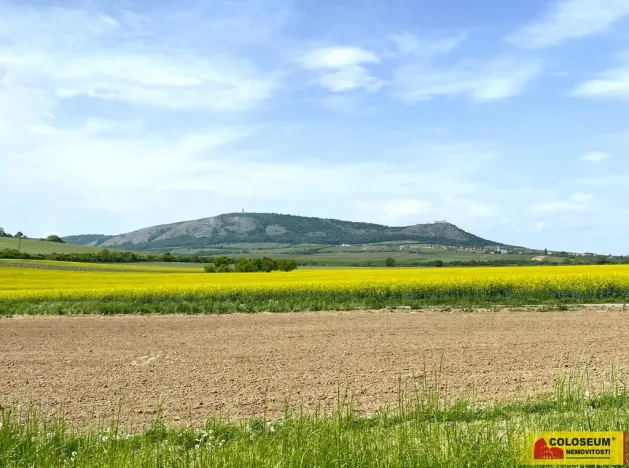 Prodej pozemku pro bydlení, Pavlov, 1132 m2