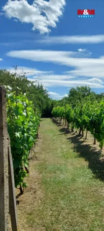 Prodej zahrady, Nový Šaldorf-Sedlešovice - Nový Šaldorf, 898 m2