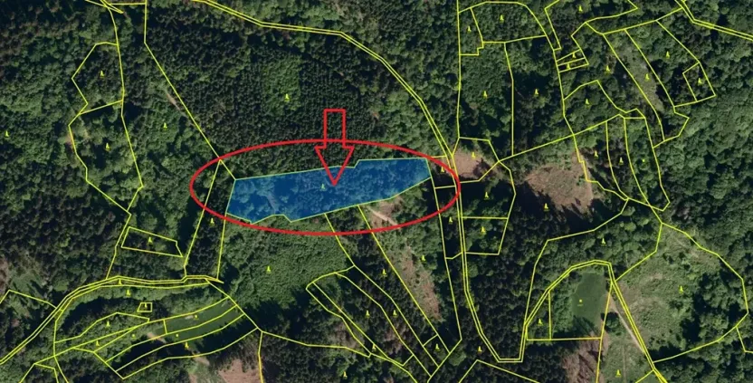 Prodej lesa, Janová, 7449 m2