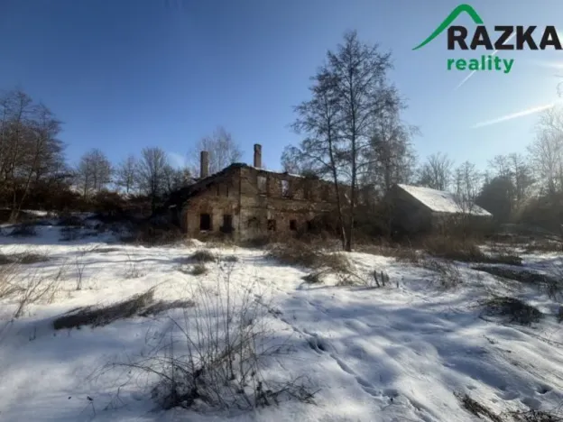 Prodej pozemku pro bydlení, Planá, 2371 m2