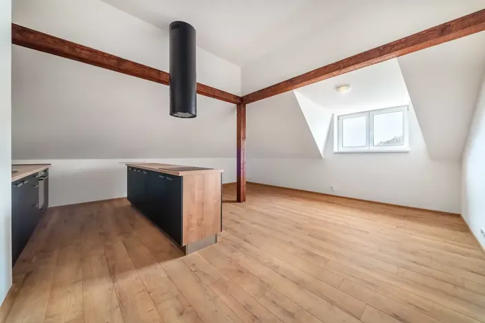 Pronájem bytu 1+1, Plzeň, Dvorní, 63 m2