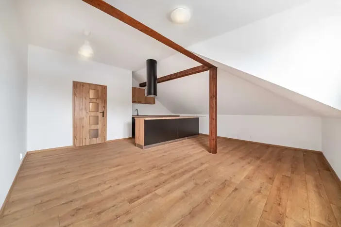 Pronájem bytu 1+1, Plzeň, Dvorní, 63 m2