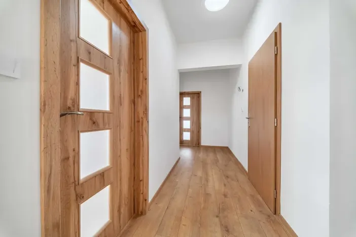 Pronájem bytu 1+1, Plzeň, Dvorní, 63 m2