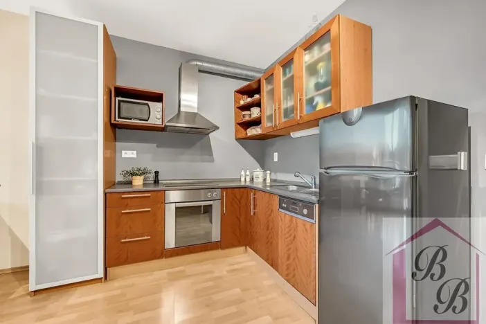 Pronájem bytu 1+kk, Praha - Podolí, Jeremenkova, 44 m2