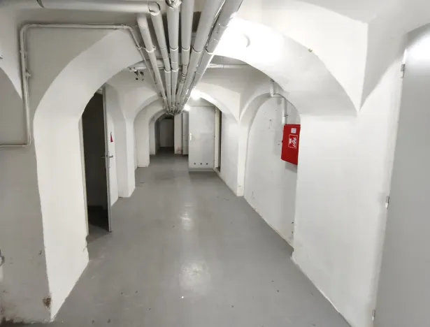 Pronájem skladu, Šenov, U Alejského dvora, 106 m2