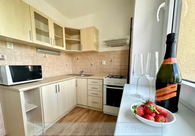 Pronájem bytu 1+1, Praha - Žižkov, U kněžské louky, 70 m2