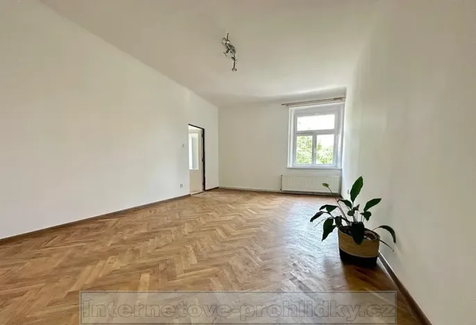 Pronájem bytu 1+1, Praha - Žižkov, U kněžské louky, 70 m2