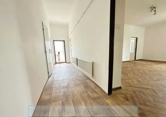 Pronájem bytu 1+1, Praha - Žižkov, U kněžské louky, 70 m2