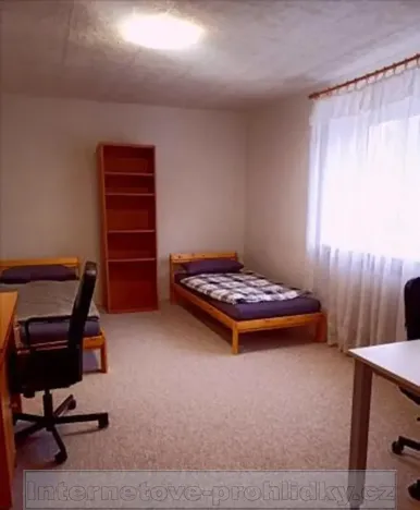 Pronájem pokoje, Praha - Dejvice, Pod Mlýnkem, 20 m2